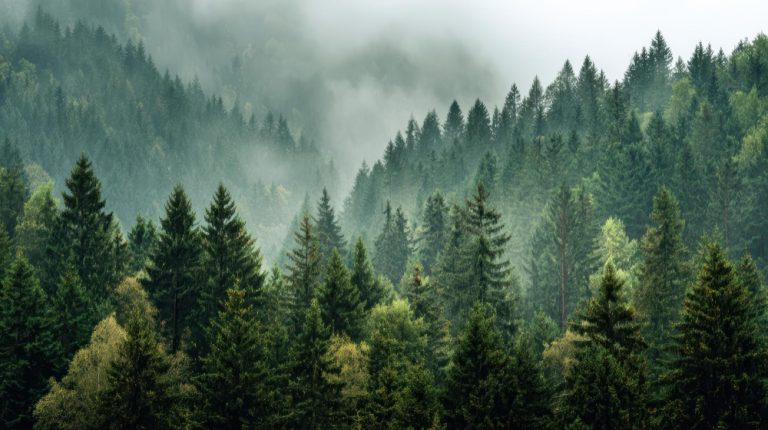 Why changes readiness starts before implementation